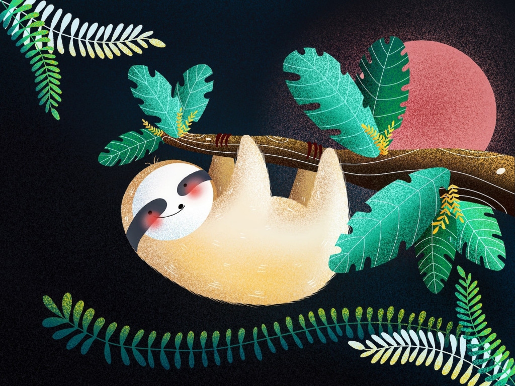 Sloth by Yuanlei Huang