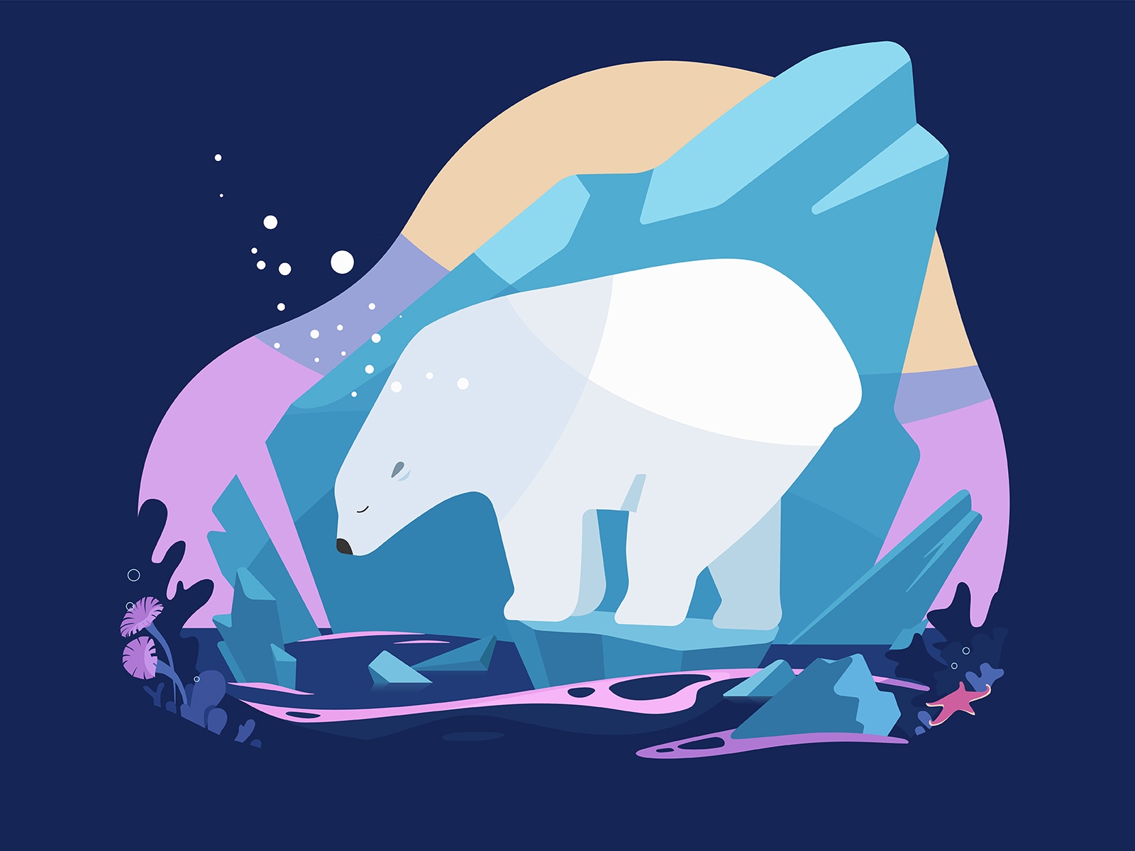 bear-climate-change