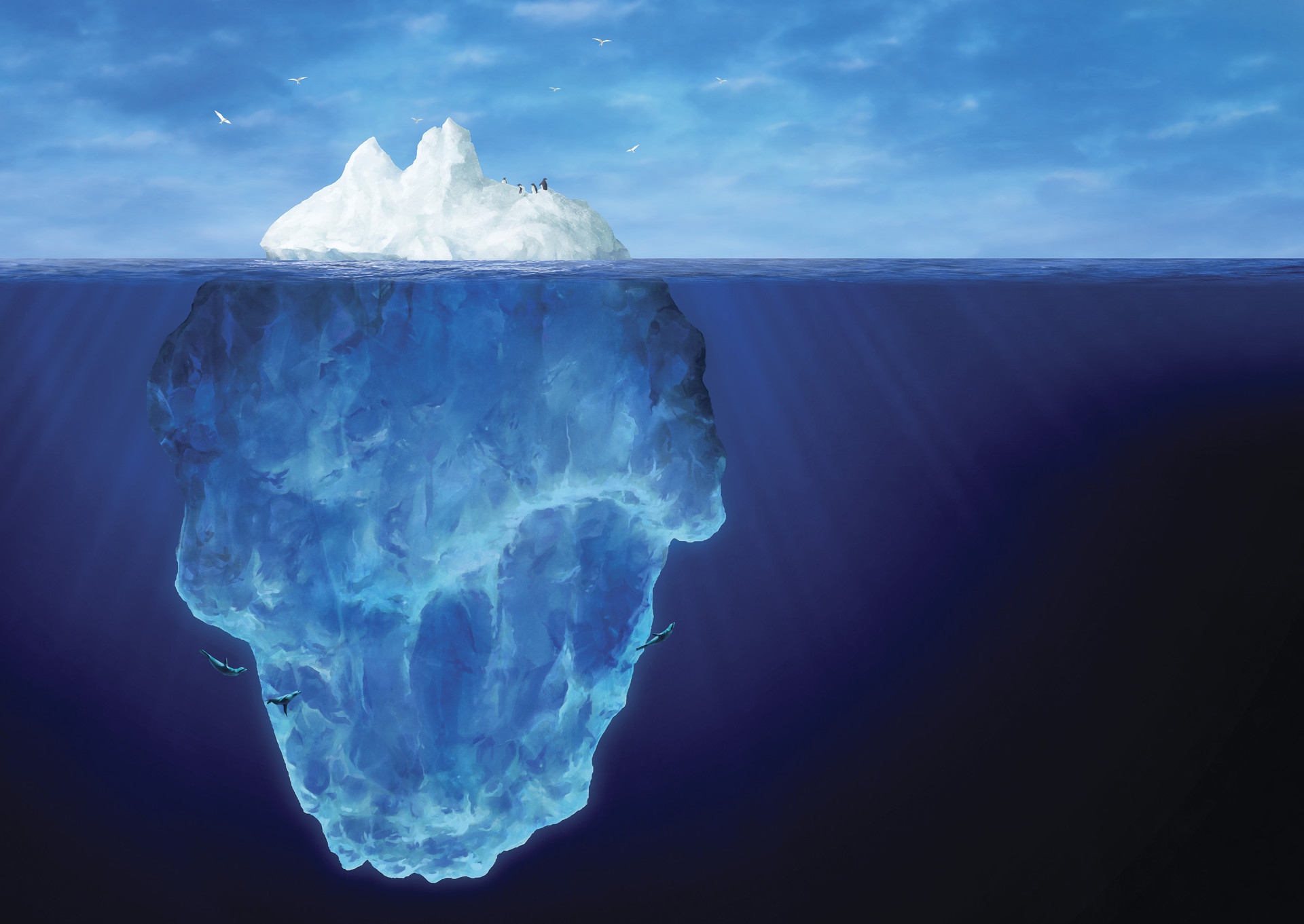 How much does it cost to design a website - illustration by Rowan Dodds